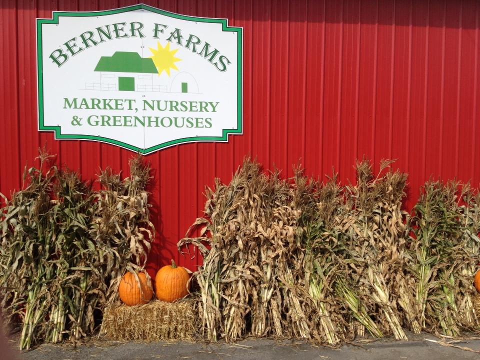 Contact Berner Farms: Clinton Street Garden Center